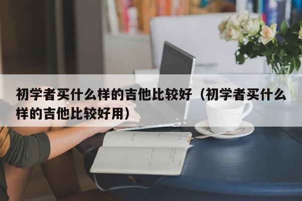 初学者买什么样的吉他比较好（初学者买什么样的吉他比较好用） 第1张