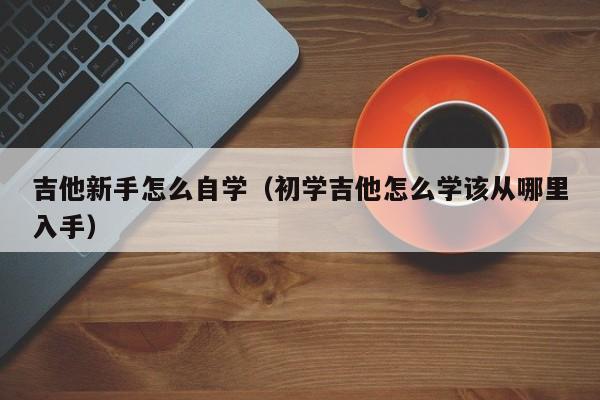 吉他新手怎么自学（初学吉他怎么学该从哪里入手） 第1张