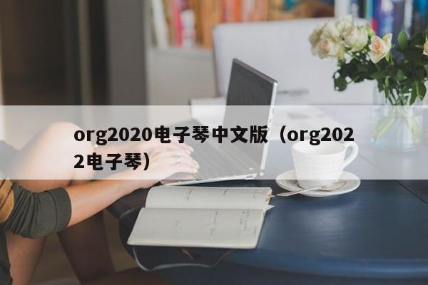 org2020电子琴中文版（org2022电子琴） 第1张