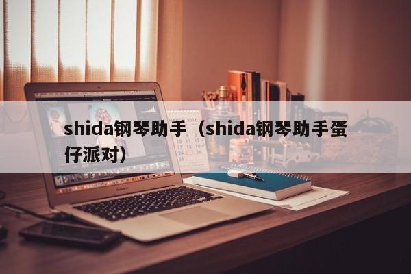 shida钢琴助手（shida钢琴助手蛋仔派对） 第1张