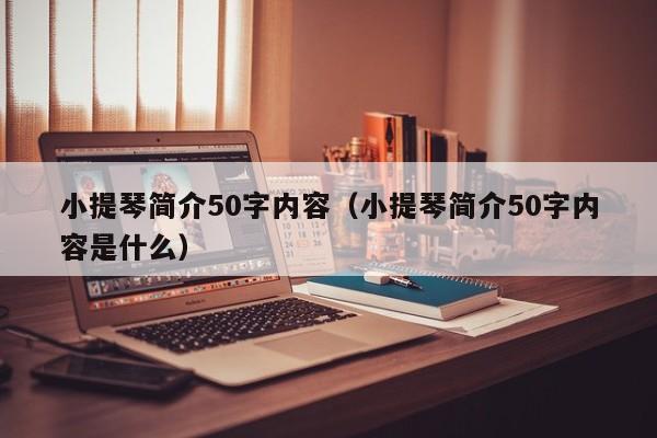 小提琴简介50字内容（小提琴简介50字内容是什么） 第1张