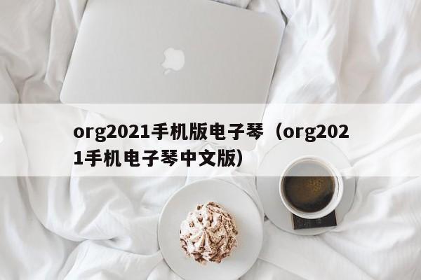 org2021手机版电子琴（org2021手机电子琴中文版） 第1张