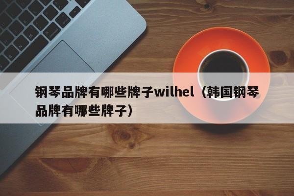 钢琴品牌有哪些牌子wilhel（韩国钢琴品牌有哪些牌子） 第1张