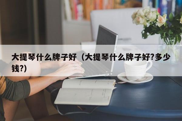 大提琴什么牌子好（大提琴什么牌子好?多少钱?） 第1张