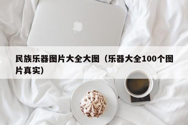 民族乐器图片大全大图（乐器大全100个图片真实） 第1张