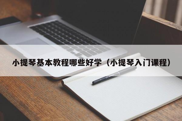 小提琴基本教程哪些好学（小提琴入门课程） 第1张