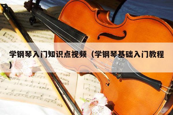 学钢琴入门知识点视频（学钢琴基础入门教程） 第1张