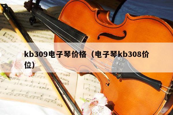 kb309电子琴价格（电子琴kb308价位） 第1张