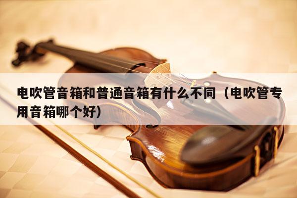 电吹管音箱和普通音箱有什么不同（电吹管专用音箱哪个好） 第1张