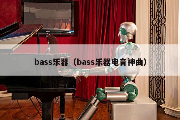 bass乐器（bass乐器电音神曲） 第1张