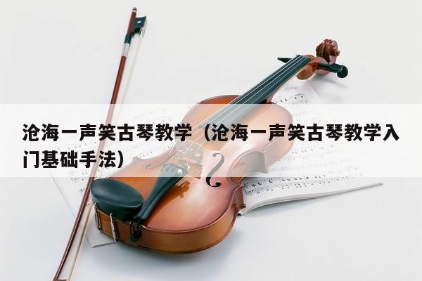 沧海一声笑古琴教学（沧海一声笑古琴教学入门基础手法） 第1张