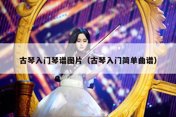 古琴入门琴谱图片（古琴入门简单曲谱） 第1张