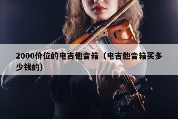 2000价位的电吉他音箱（电吉他音箱买多少钱的） 第1张