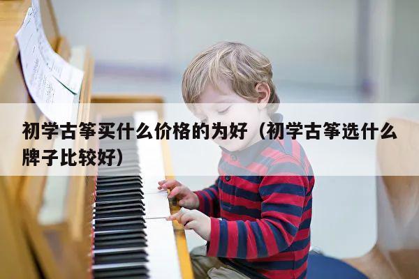 初学古筝买什么价格的为好（初学古筝选什么牌子比较好） 第1张