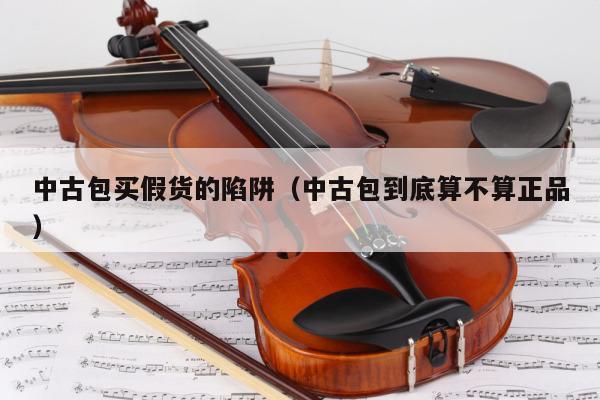 中古包买假货的陷阱（中古包到底算不算正品） 第1张