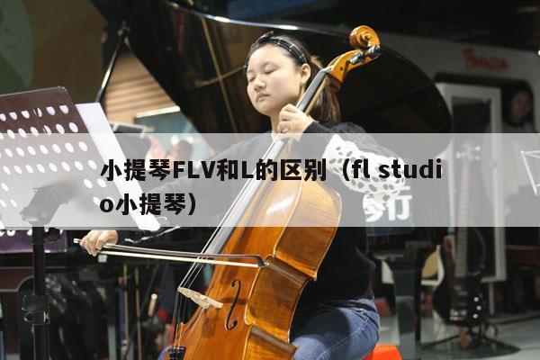 小提琴FLV和L的区别（fl studio小提琴） 第1张