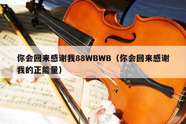 你会回来感谢我88WBWB（你会回来感谢我的正能量） 第1张