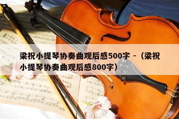 梁祝小提琴协奏曲观后感500字 -（梁祝小提琴协奏曲观后感800字） 第1张