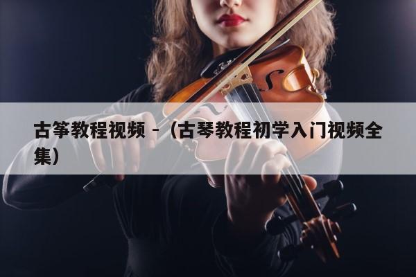 古筝教程视频 -（古琴教程初学入门视频全集） 第1张