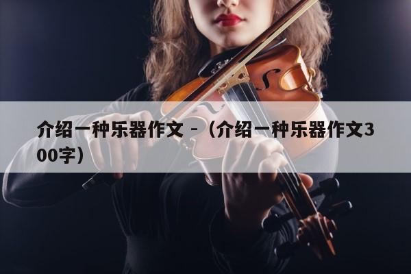 介绍一种乐器作文 -（介绍一种乐器作文300字） 第1张