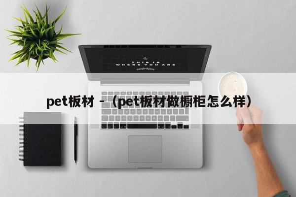 pet板材 -（pet板材做橱柜怎么样） 第1张