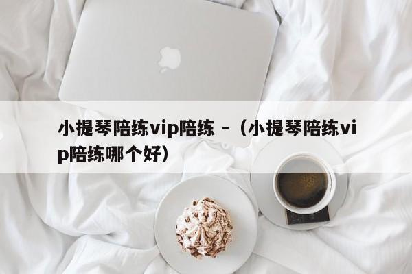 小提琴陪练vip陪练 -（小提琴陪练vip陪练哪个好） 第1张