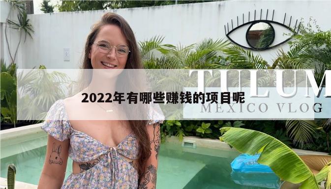 2022年有哪些赚钱的项目呢 