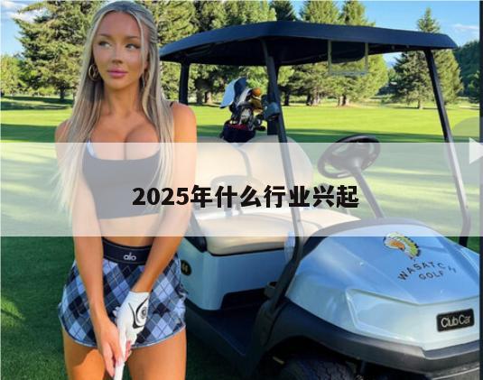  2025年什么行业兴起