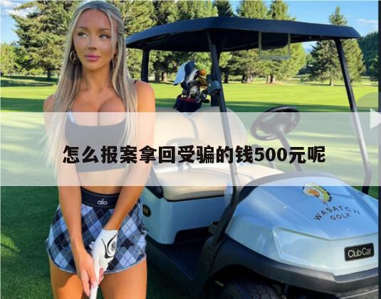  怎么报案拿回受骗的钱500元呢