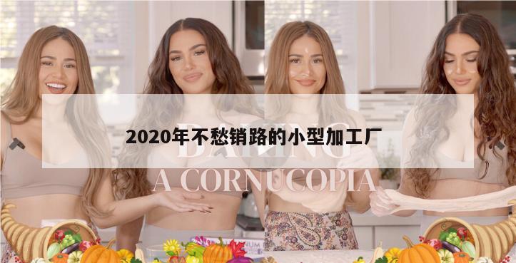 2020年不愁销路的小型加工厂 