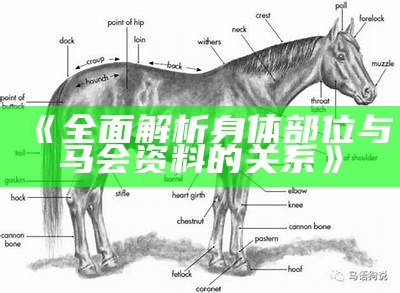 《全面解析身体部位与马会资料的关系》