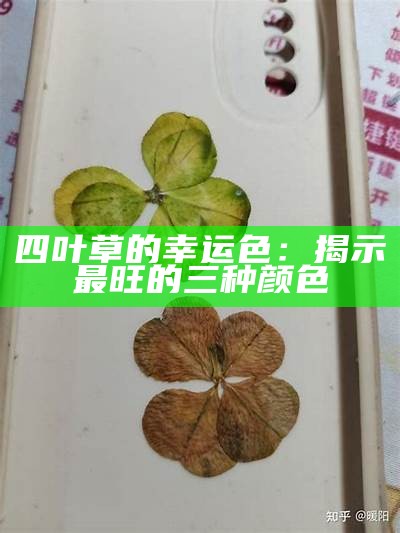 四叶草的幸运色：揭示最旺的三种颜色