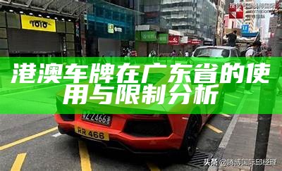 港澳车牌在广东省的使用与限制分析